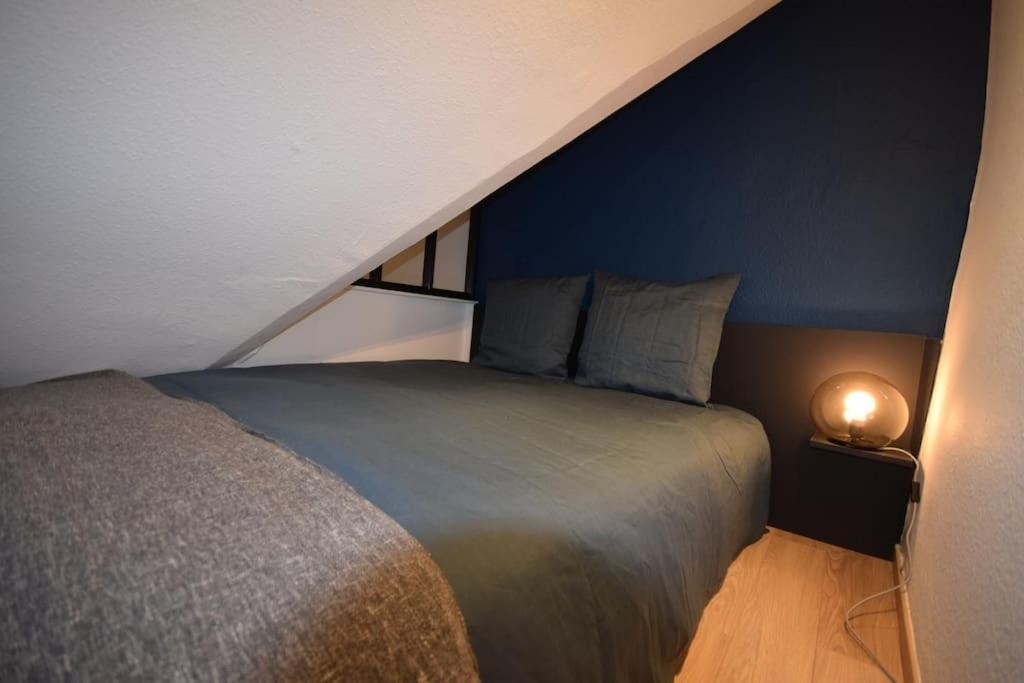 Le Studio Du Quai Des Pecheurs - Charmant Duplex Sur Les Quais Strasbourg Ngoại thất bức ảnh